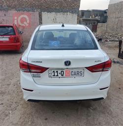 شانجان السفن